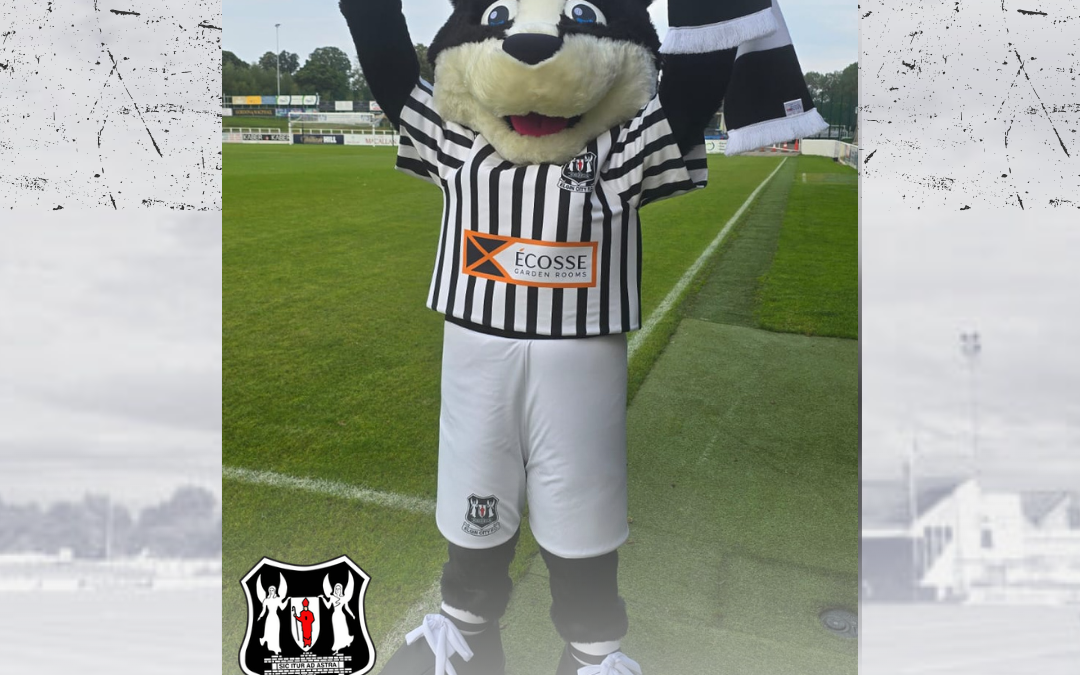 BRIGGSY THE BADGER RETURNS!
